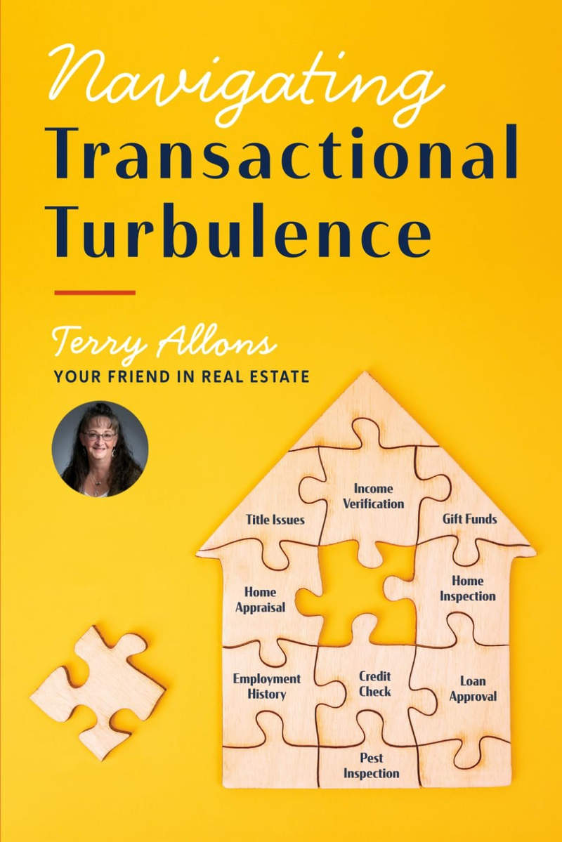 Navigating Transactional Turbulence book cover by Terry Allons